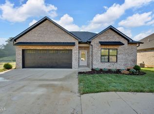 107 Station Way, Gray, TN 37615
