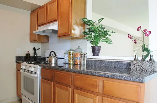 Pine Gate Apartments Photo 1