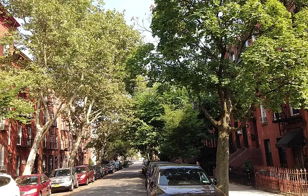 Rented by Triumph Property Group | media 6