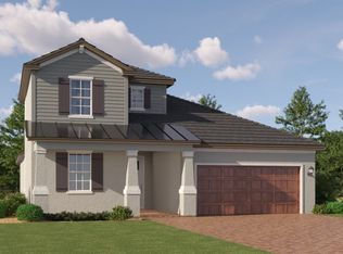 10279 Minnow Ray Dr, Land O Lakes, FL 34638