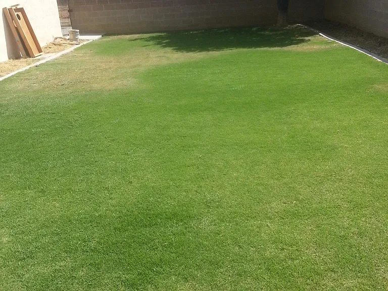 6305 Almond Dr — Photo 15