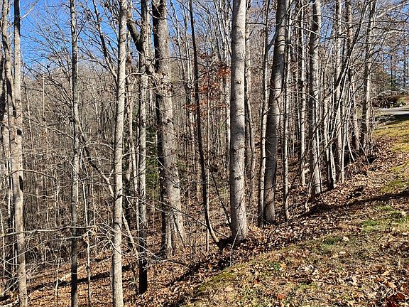 2nd image of LOT 24 Chatuge Hts