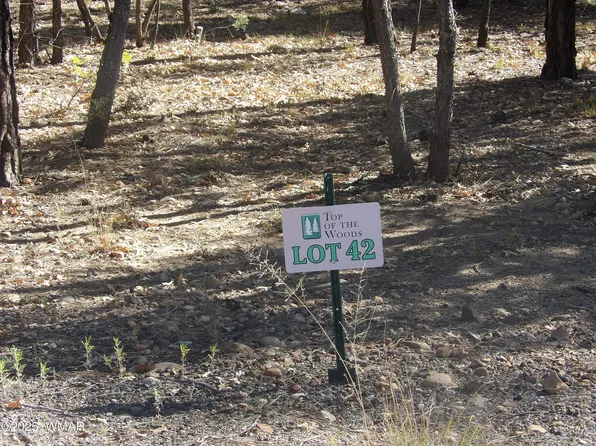 2521 S Willow Way, Pinetop, AZ 85935