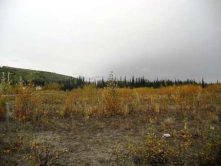 1st image of 416 Rea Ave