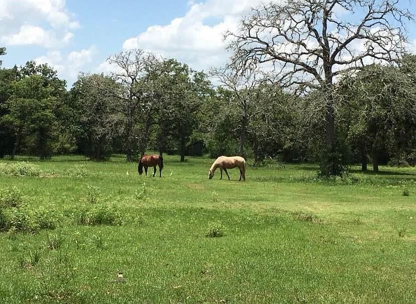 1st image of 1889 County Road 215