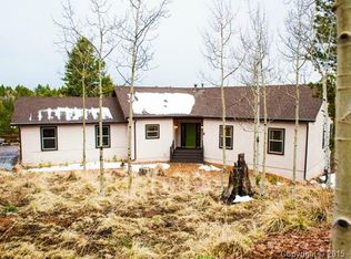 113 Deer Lake Cir, Divide, CO 80814
