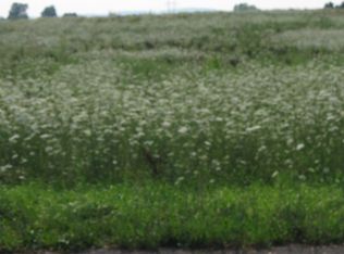 Thompson And Delpfi Rd #1000, Cazenovia, NY 13035