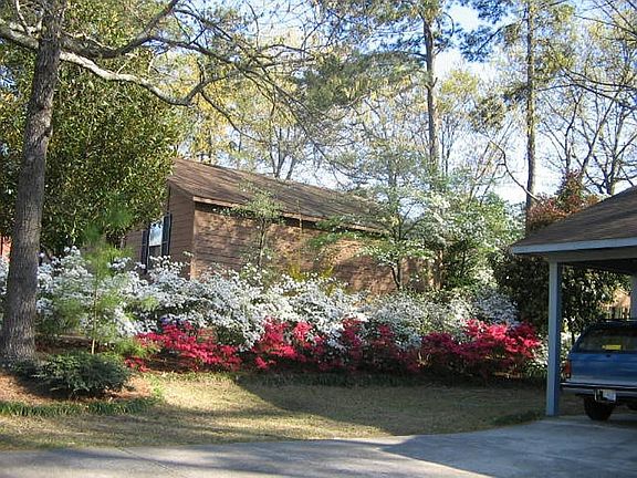 Front left side Spring Color