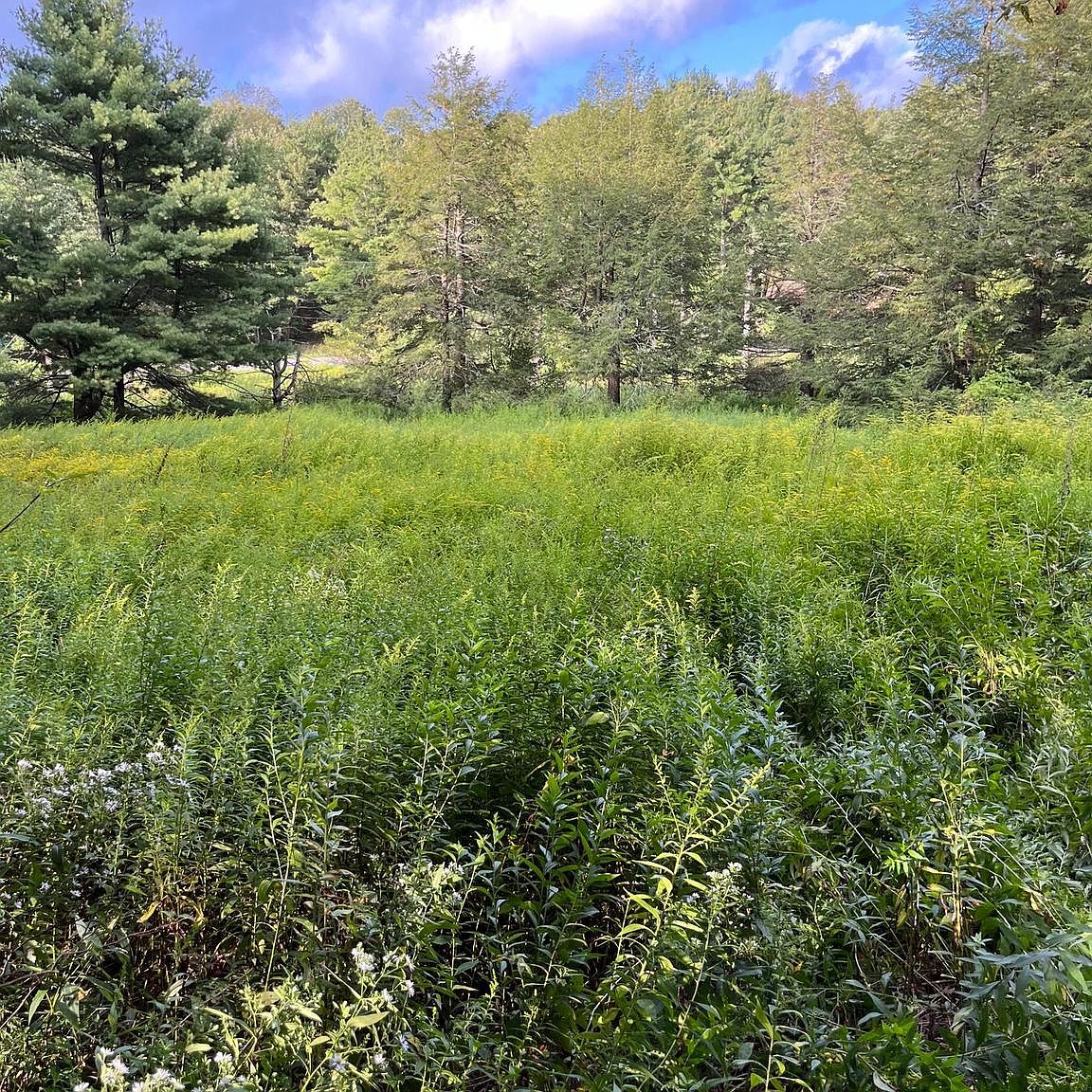 Old Frostburg Rd, Frostburg, MD 21532 Zillow