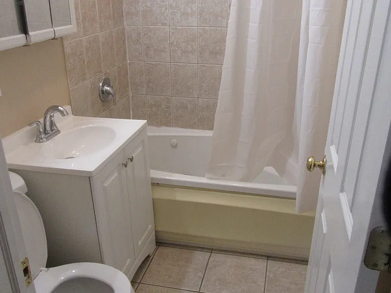 2251 W Rosemont Ave #1 — Photo 10