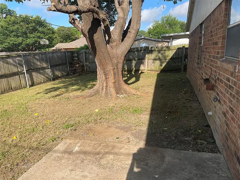 Picture 21