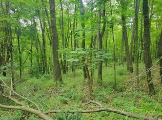 Saint Peters Church Rd NW, Bolivar, OH 44612