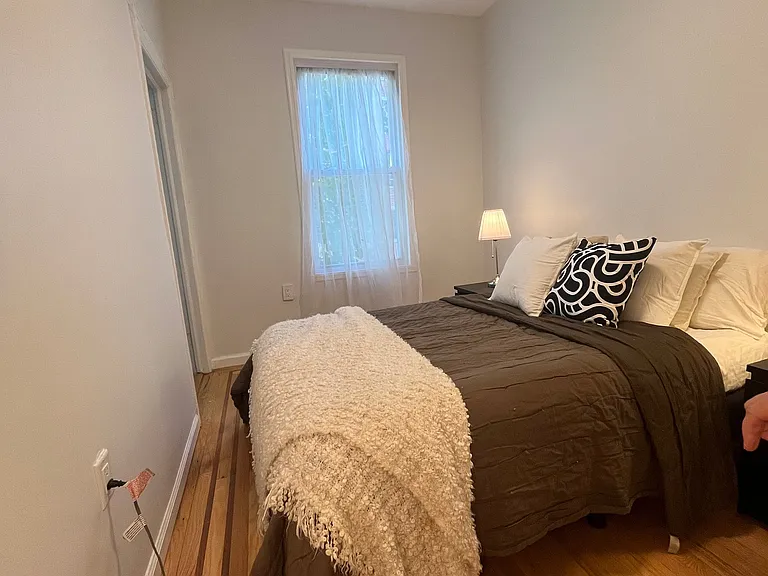 209 Clinton St #1 — Photo 18