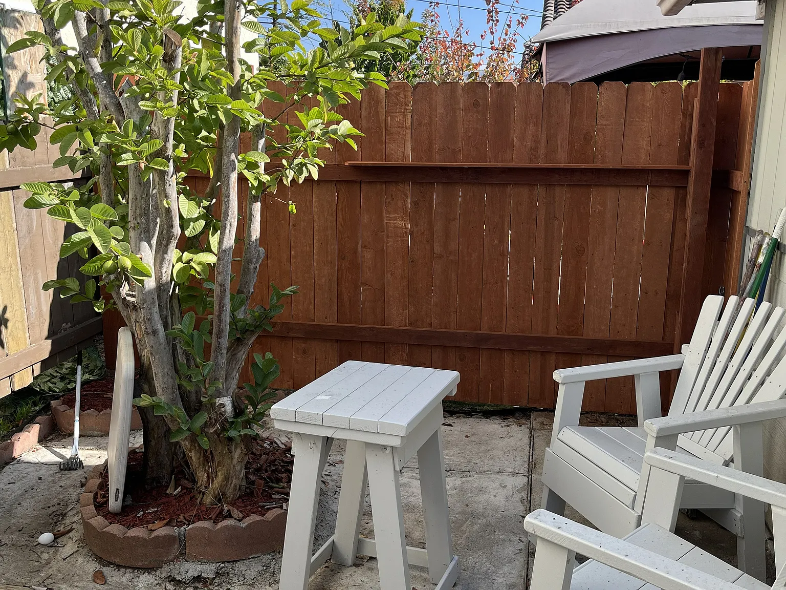 1 bed, 550 sqft, $2,350 — Photo 2