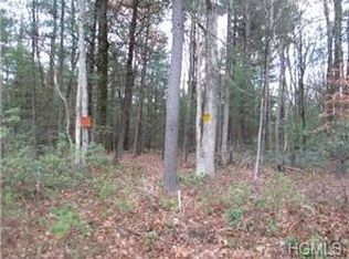 145 Lakeview Drive Rd, Highland Lake, NY 12743