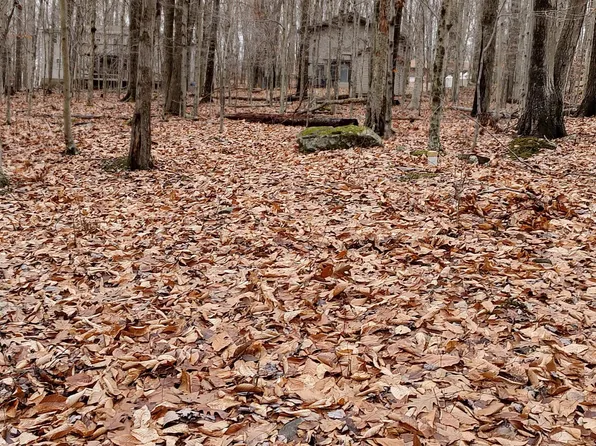 164 Mountain View Dr #1007, Pocono Lake, PA 18347