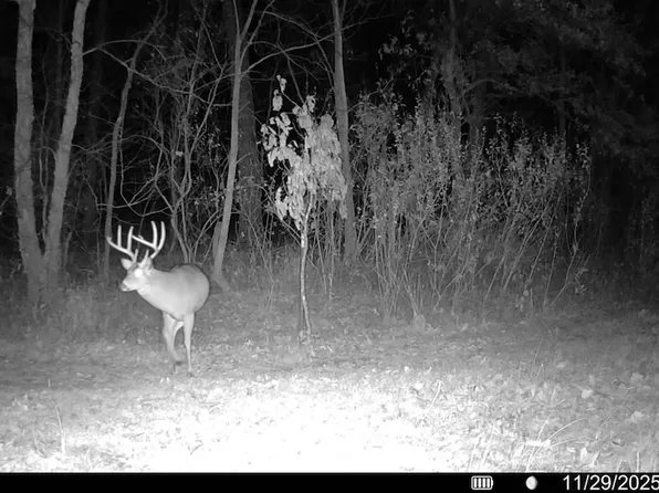 Off Poinsettia Rd, Pinckneyville, IL 62274
