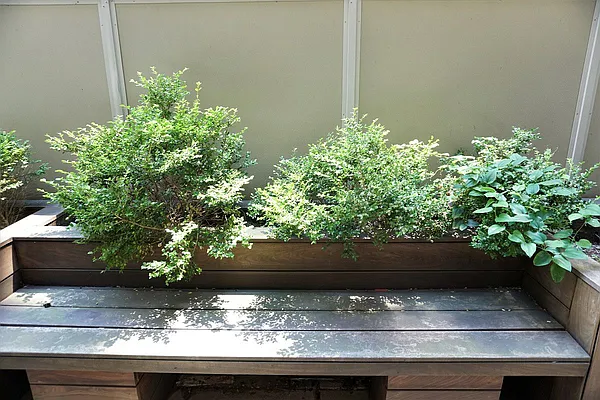 Rented by Renetta Real Estate | media 20