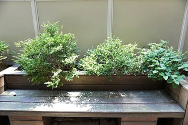 Rented by Renetta Real Estate