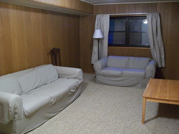 carpeted basement