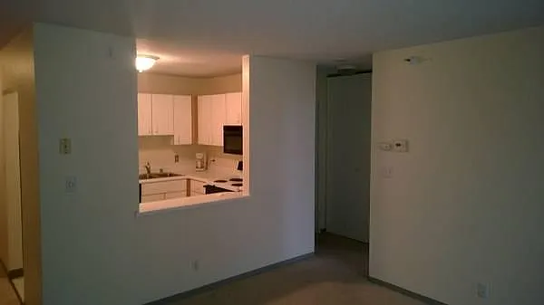 Open Concept Kitchen