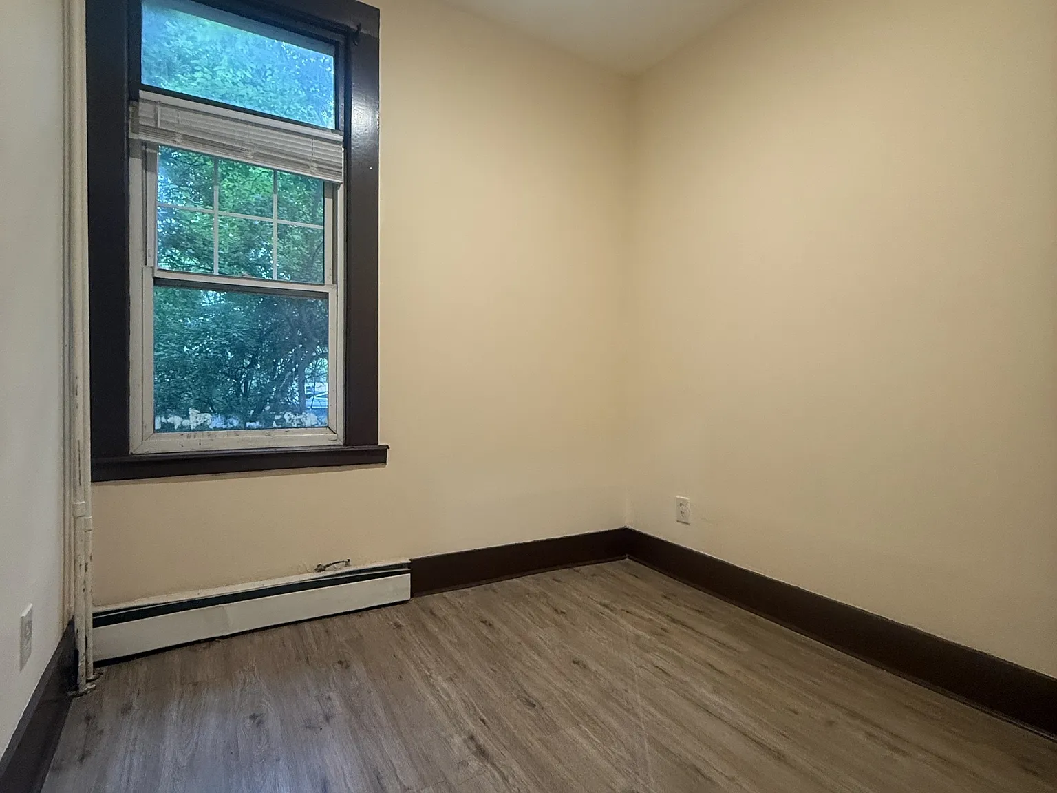 44 Osborne Street - 1 — Photo 2