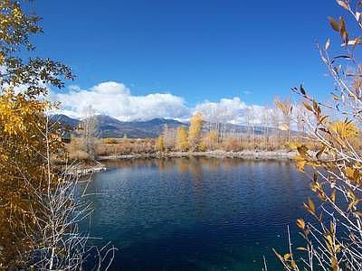 Pond