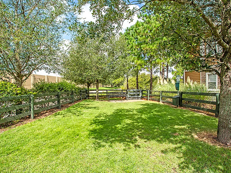 Two Off-Leash Dog Parks