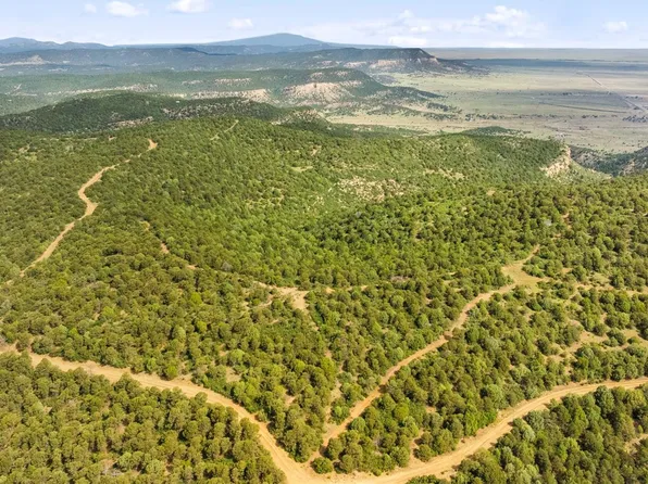 Lots F & J Tollerburg Road Lots F & J, Trinidad, CO 81082