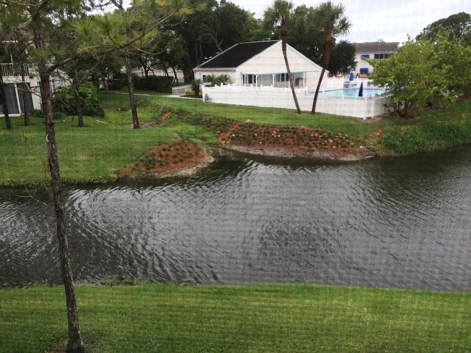 Looking out the back balcony