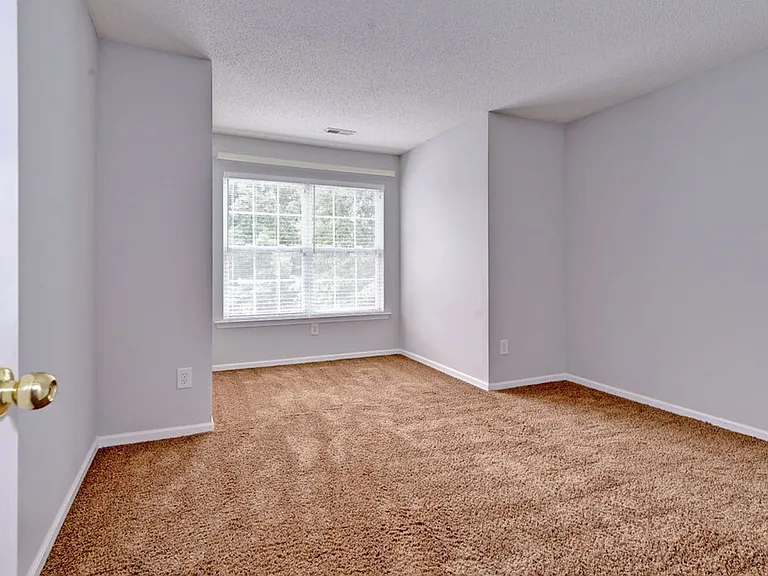 405 Dorothy Dr — Photo 18