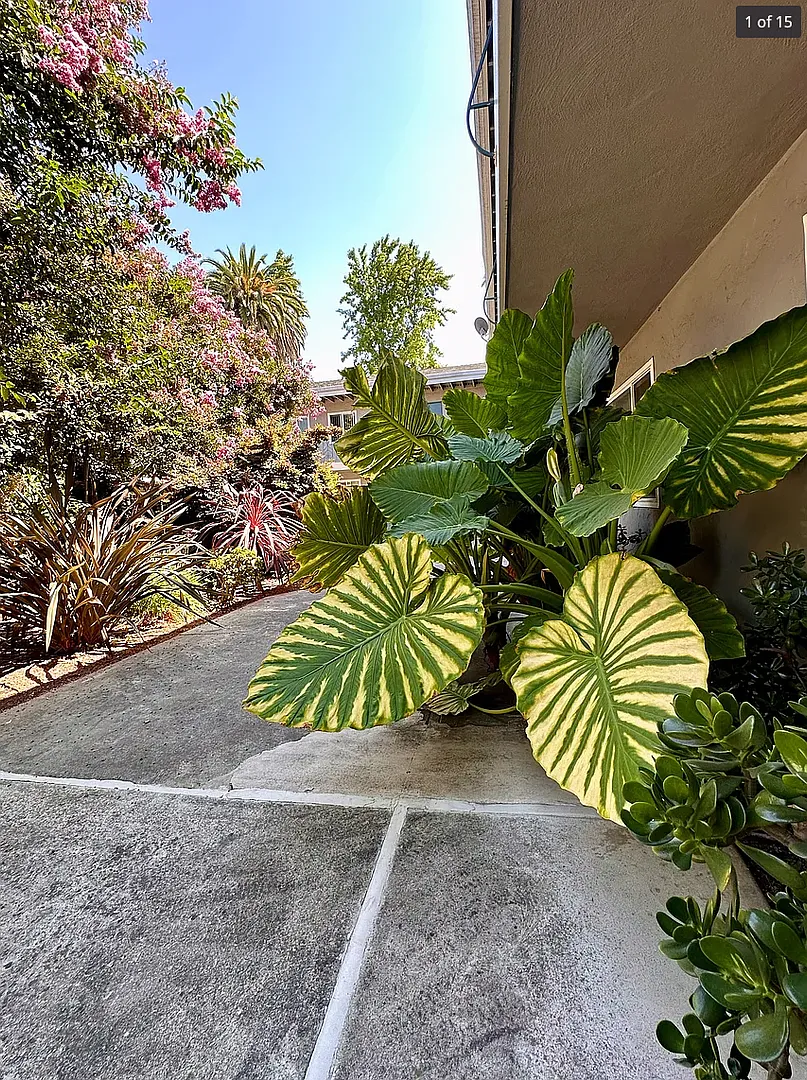 Welcome to 262 Mariposa — Photo 2