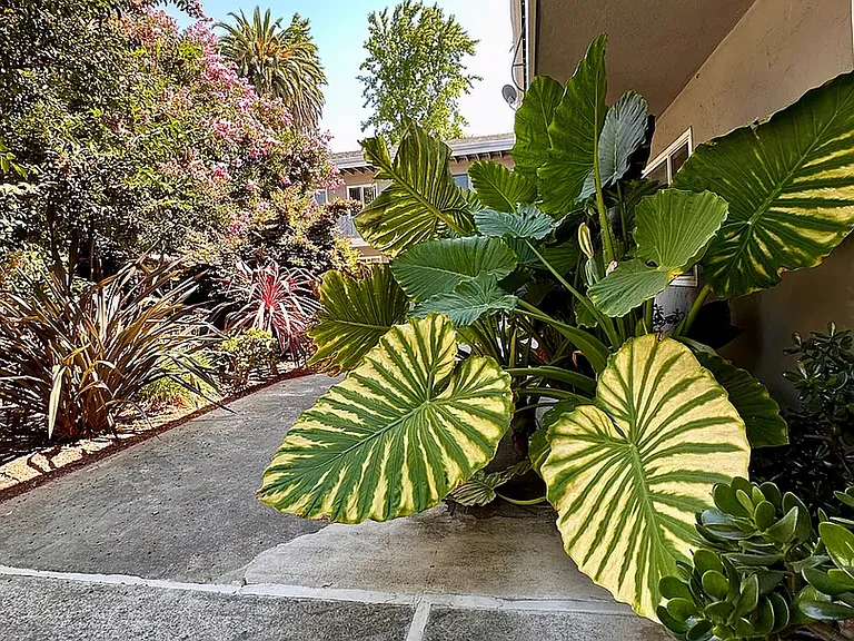 Welcome to 262 Mariposa — Photo 3
