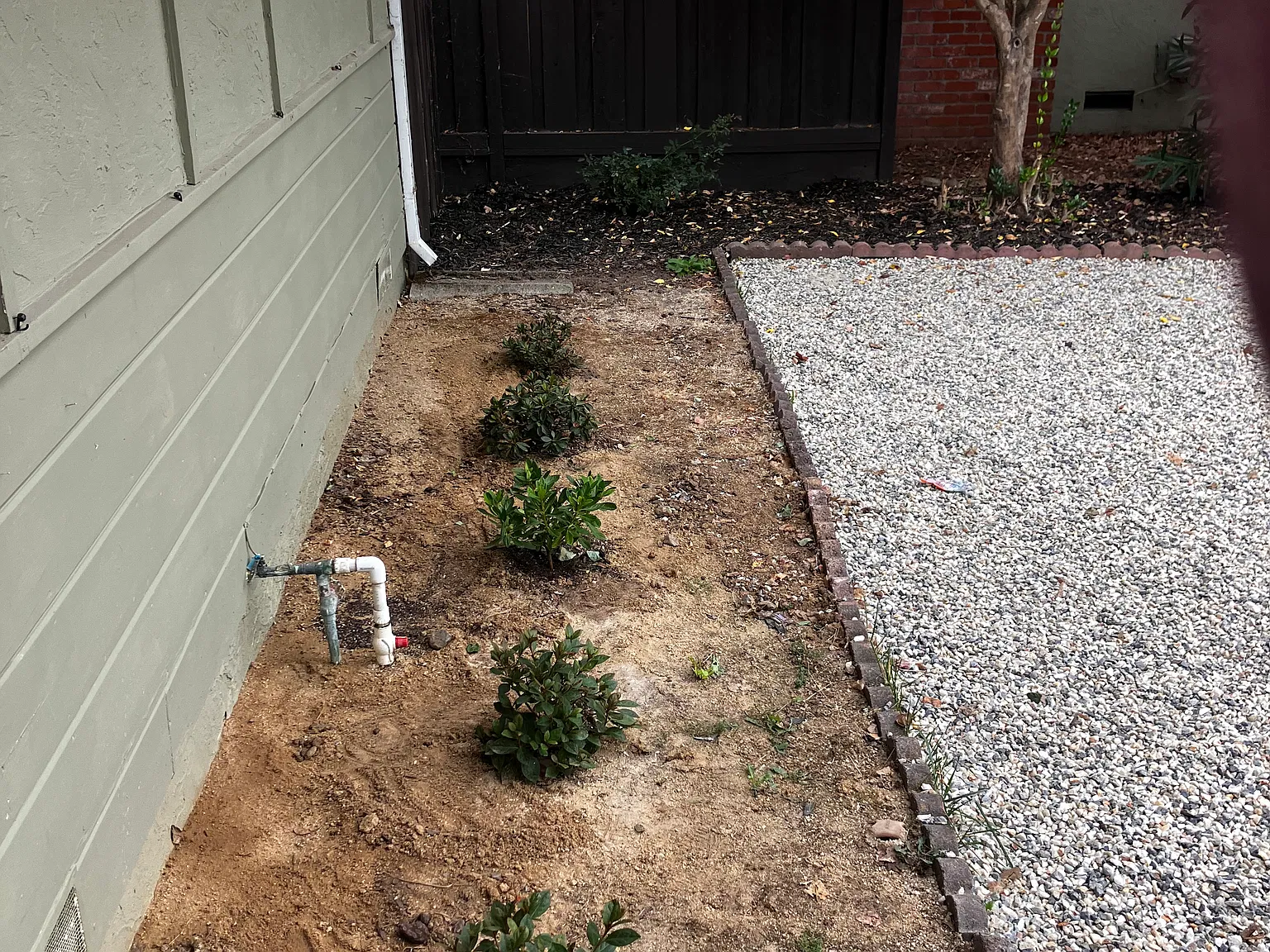 3 bed, 1100 sqft, $3,500 — Photo 2