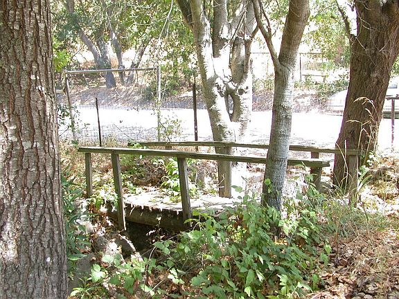 Creek along property