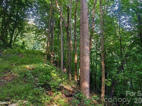 5th image of 0 Ragans Pointe #58