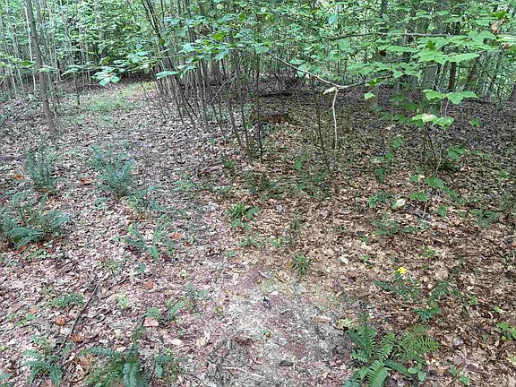 2nd image of 0 S Mifflin West Fork Rd