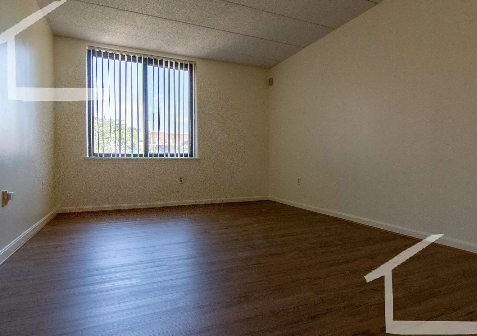 Huge 2 bed in Allston — Photo 3