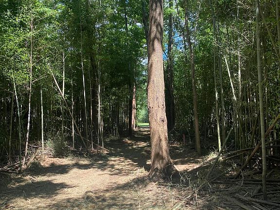 5th image of Bryant Dr