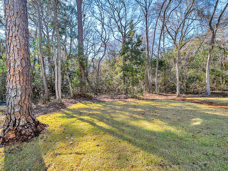 fenced backyard