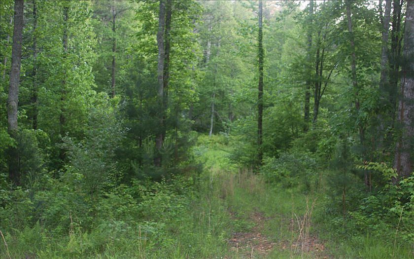 2nd image of Ridge Dr