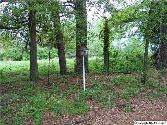 5th image of 5289 County Road 52