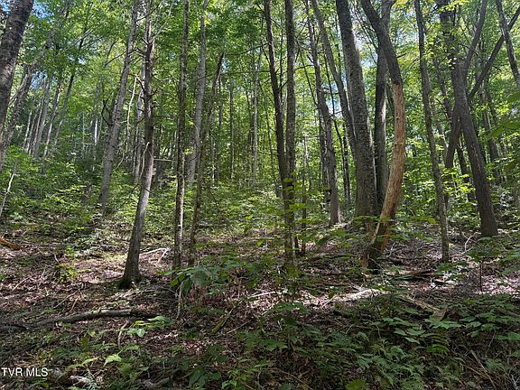 5th image of Dennis Cove Rd
