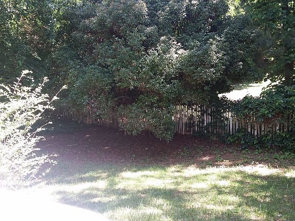 Fenced Backyard