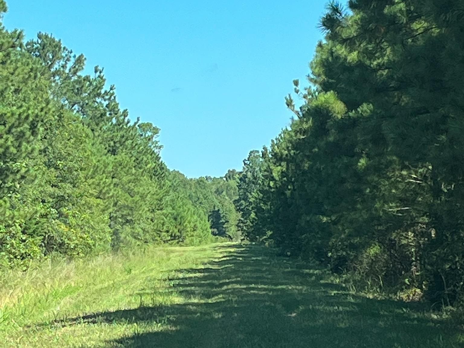 Mc 522, Fouke, AR 71837 Zillow