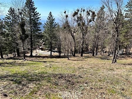 5th image of 41 Fredalba Rd #A