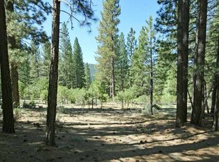 91 Saddle Ridge Rd, Clio, CA 96106