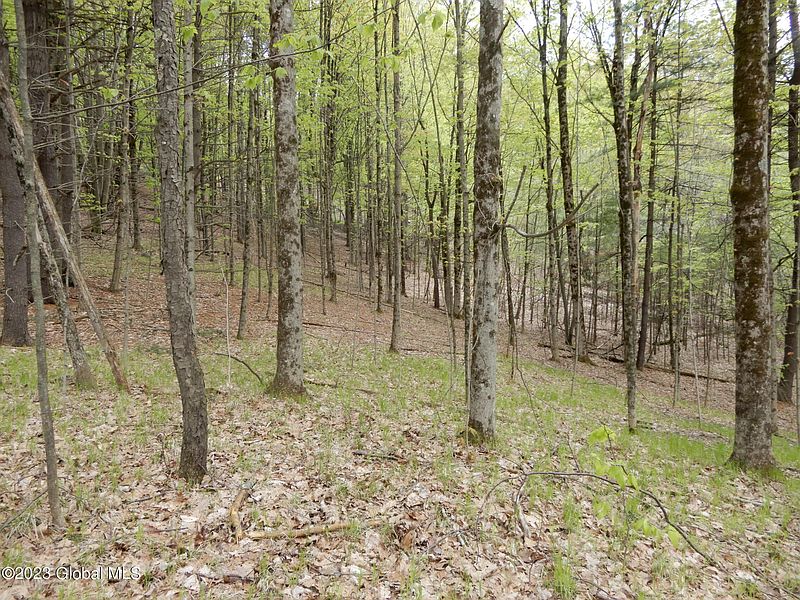 5th image of 0 Storm Hill Road