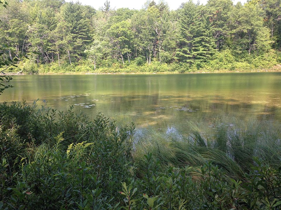 1st image of Otter St