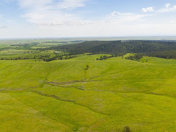 4th image of 20867 Picardi Ranch Rd